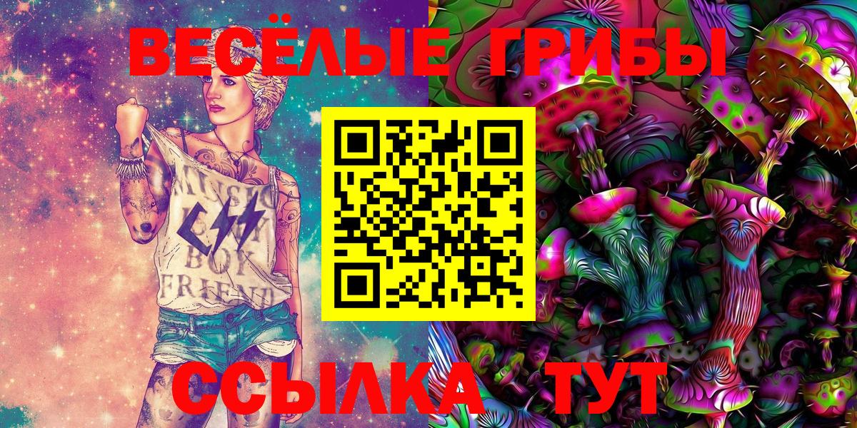 где можно купить   Псилоцибиновые грибы MAGIC MUSHROOMS  Отрадное  Вход с VPN  Галлюциногенные грибы Psilocybine cubensis 